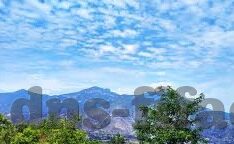 电玩幸运森林舞会-电玩幸运森林舞会，一场虚拟与现实的梦幻交织