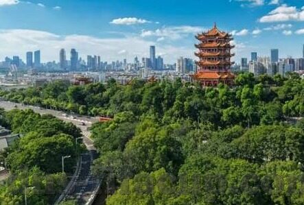 微信炸金花输惨了-微信炸金花输惨了，如何调整心态与策略