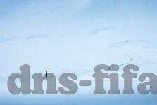 足球比分 视频-从足球比分到热血视频，一场跨越数据与激情的足球盛宴